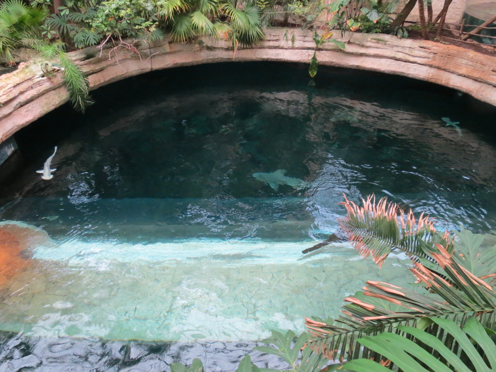 Mundo Maya - Cenote Exhibit