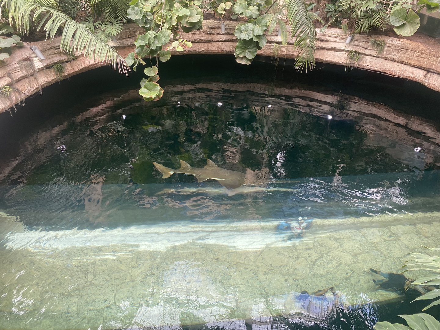 Mundo Maya - Cenote Tank