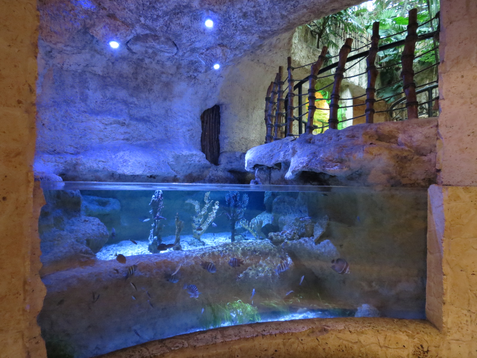 Mundo Maya - Conch Exhibit