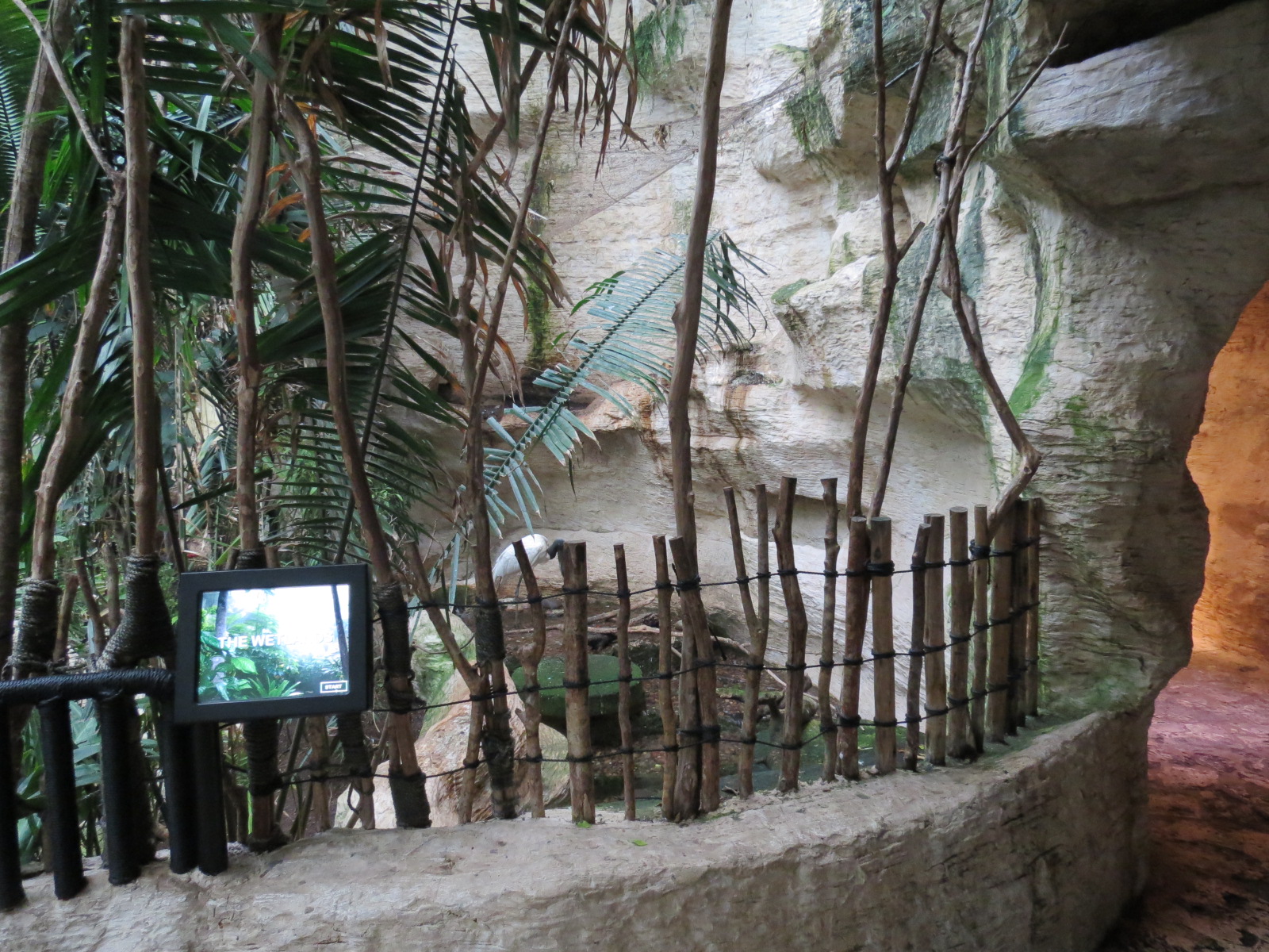 Mundo Maya - Jabiru Stork Exhibit
