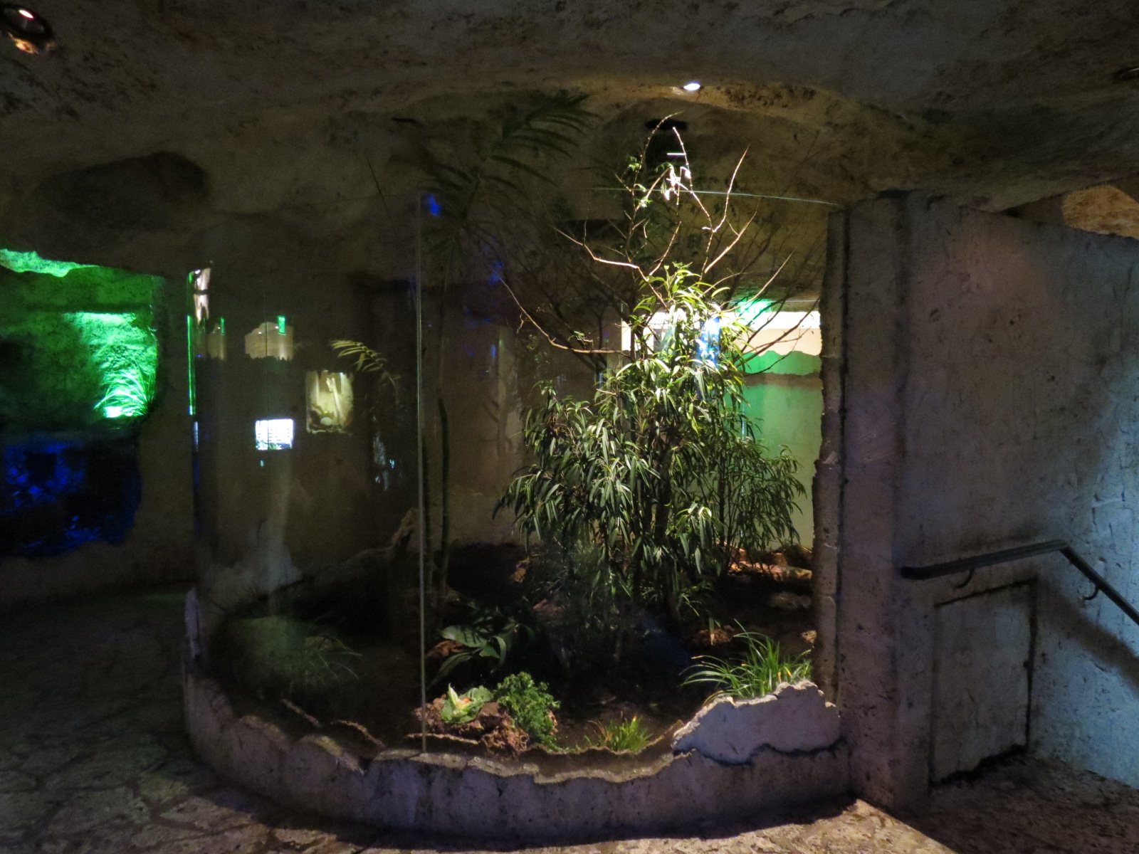 Mundo Maya - Los Petenes Exhibit