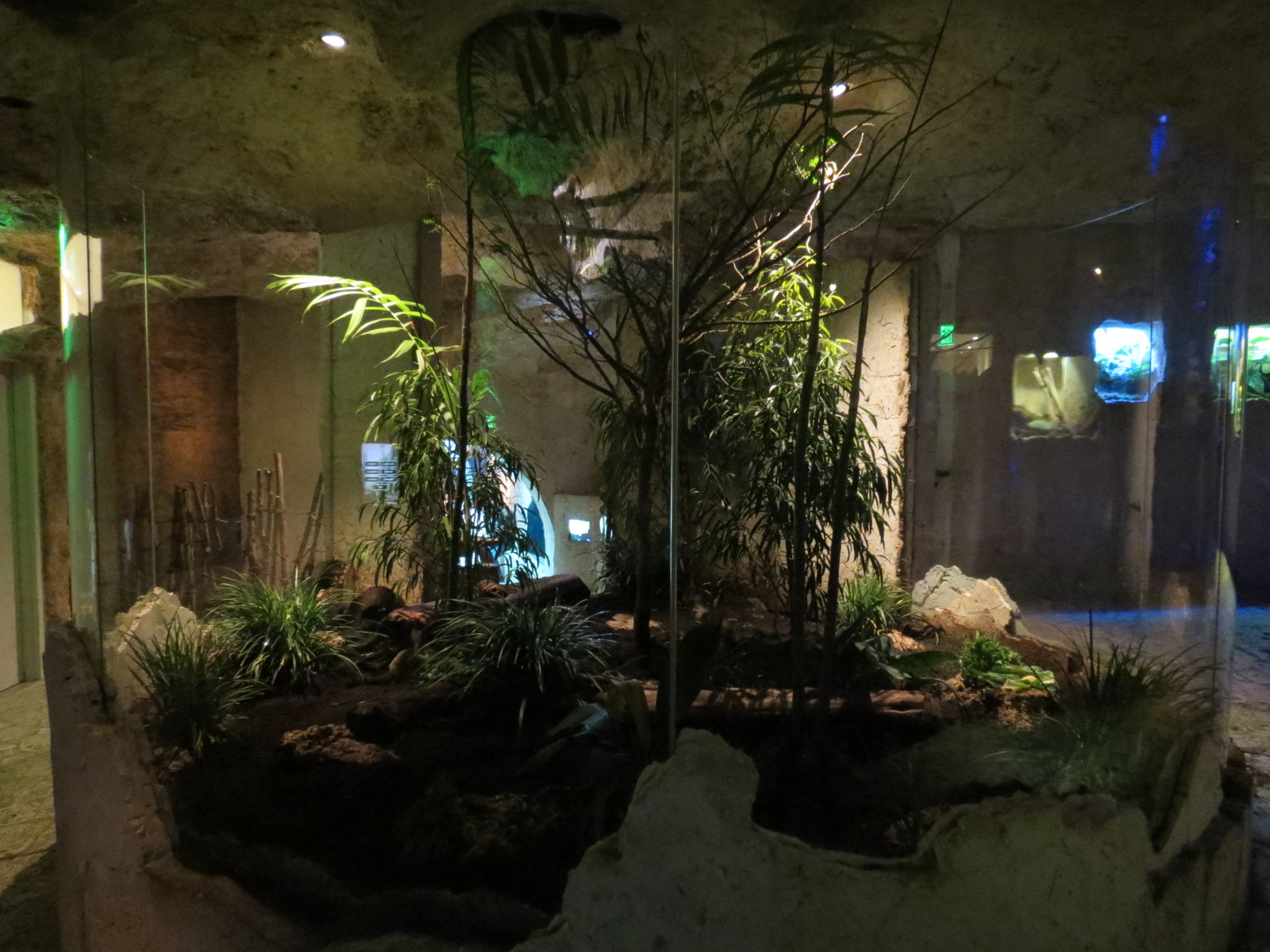 Mundo Maya - Los Petenes Exhibit