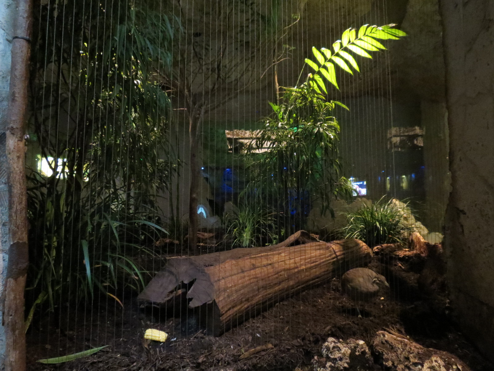 Mundo Maya - Los Petenes Exhibit