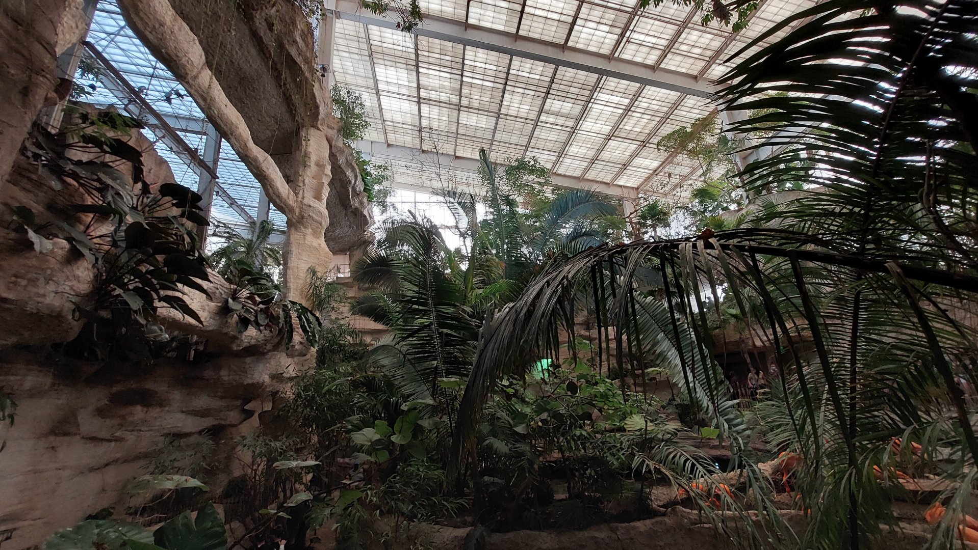 Mundo Maya main atrium overview