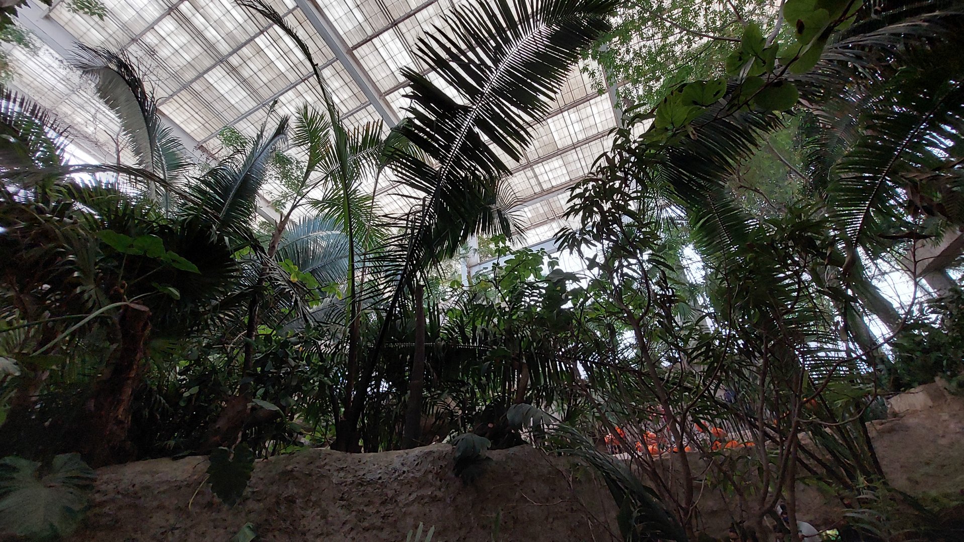 Mundo Maya Main Atrium