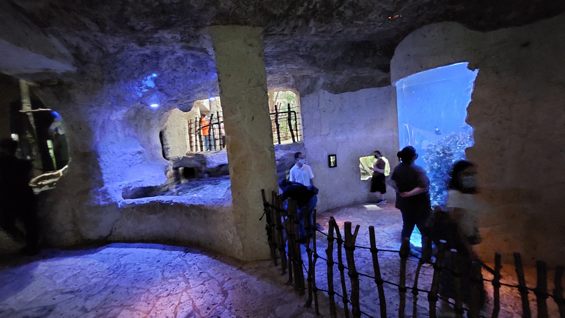 Mundo Maya Marine Creatures overview