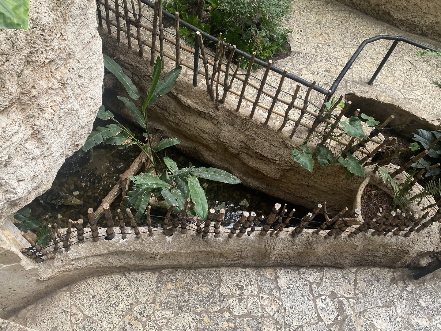 Mundo Maya - Morelet’s Crocodile Exhibit