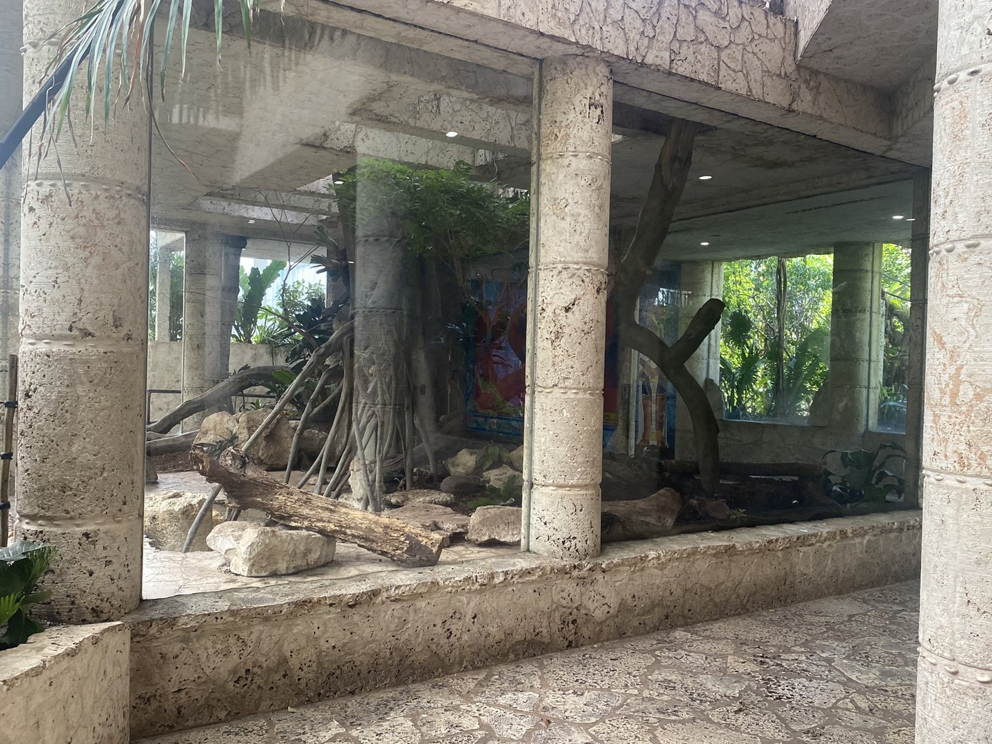 Mundo Maya - Ocelot Exhibit