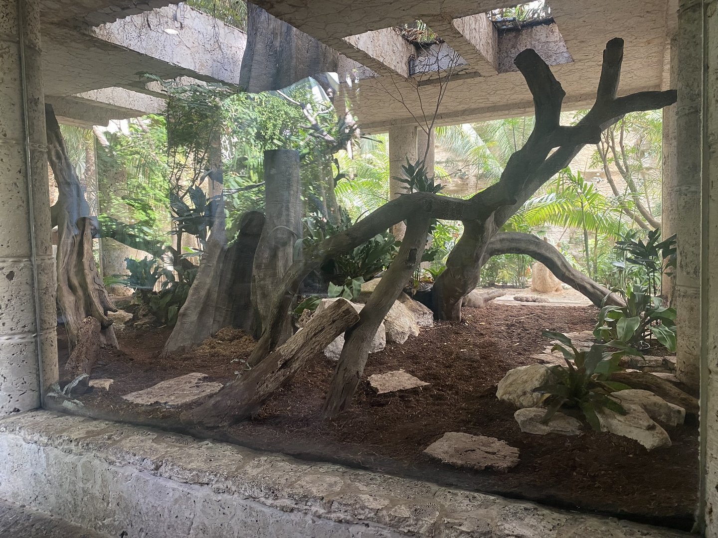 Mundo Maya - Ocelot Exhibit