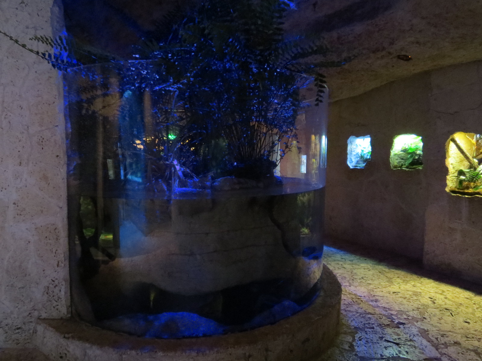 Mundo Maya - River Delta Exhibit