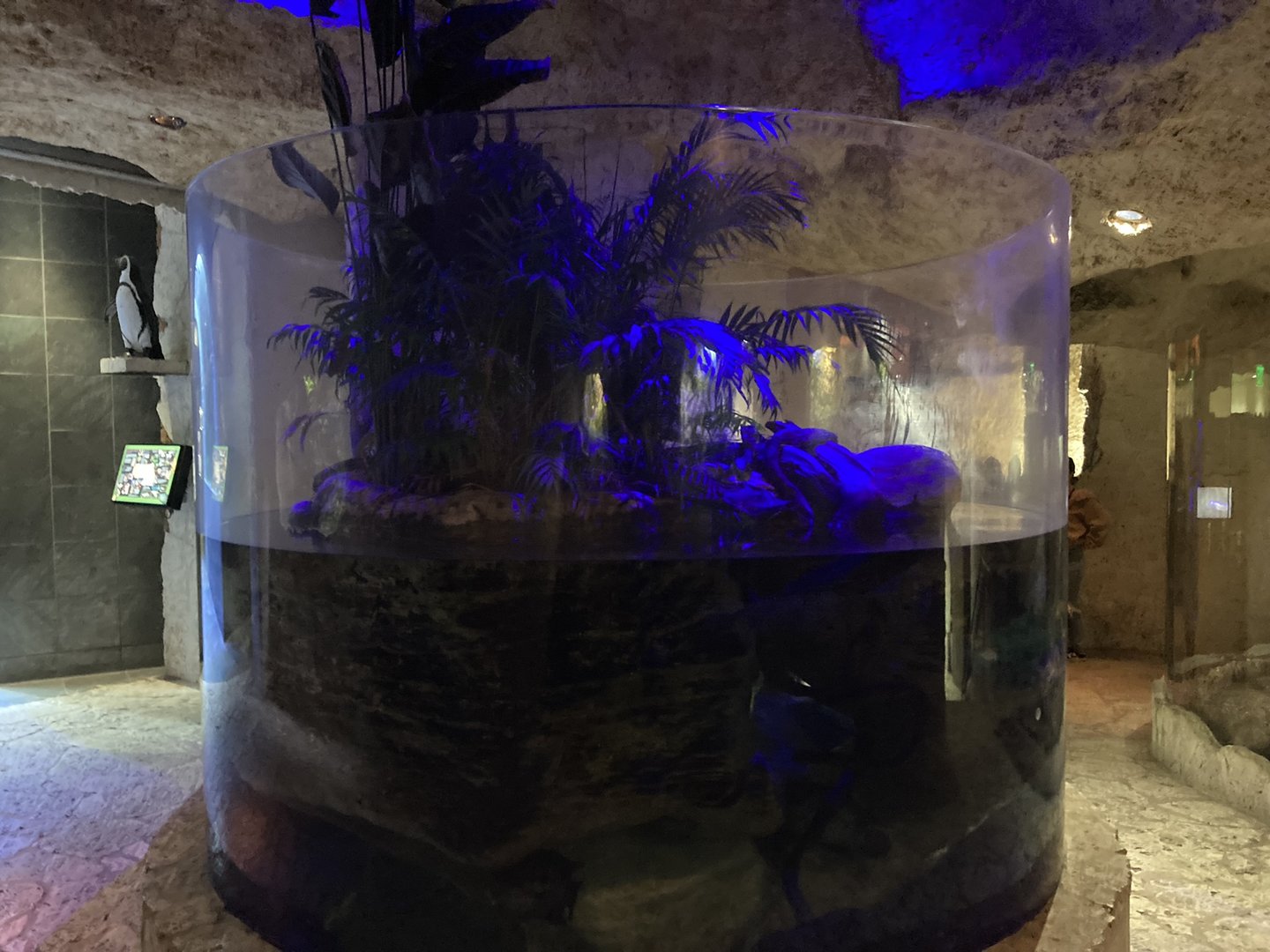 Mundo Maya - River Delta (Former Yapok Exhibit)