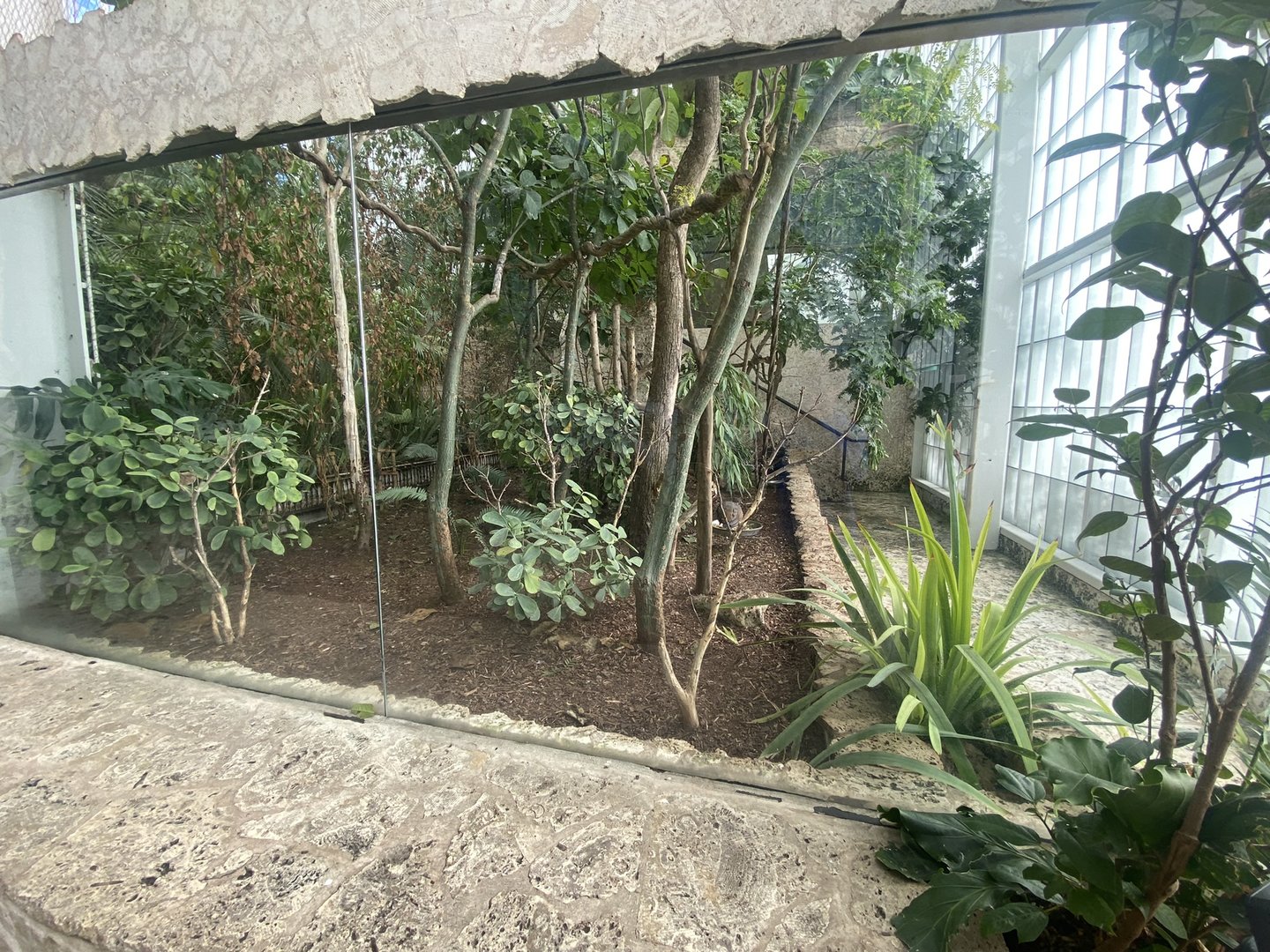 Mundo Maya - Selva Maya Aviary