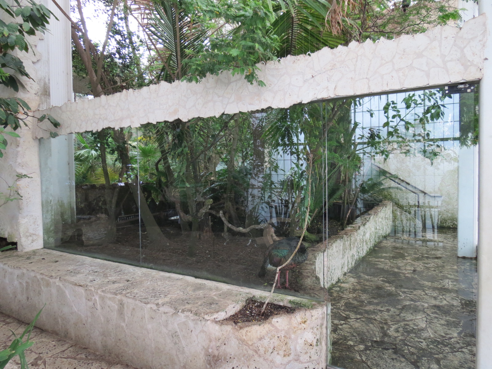 Mundo Maya - Selva Maya Exhibit