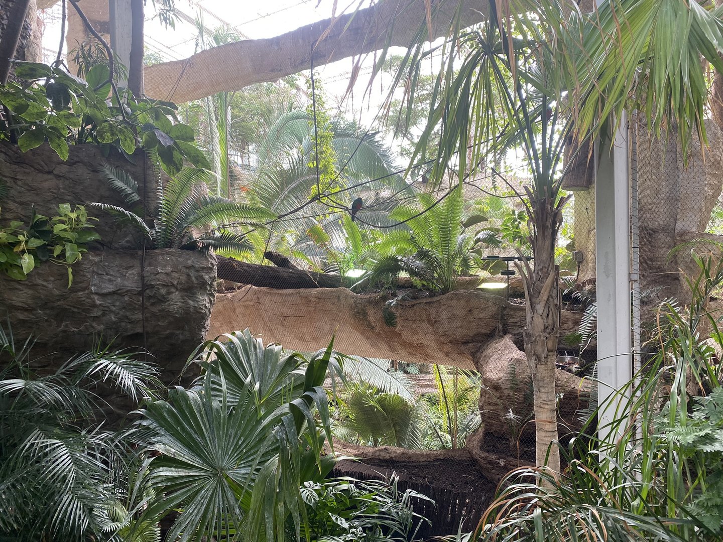 Mundo Maya - Trogon Heights Aviary