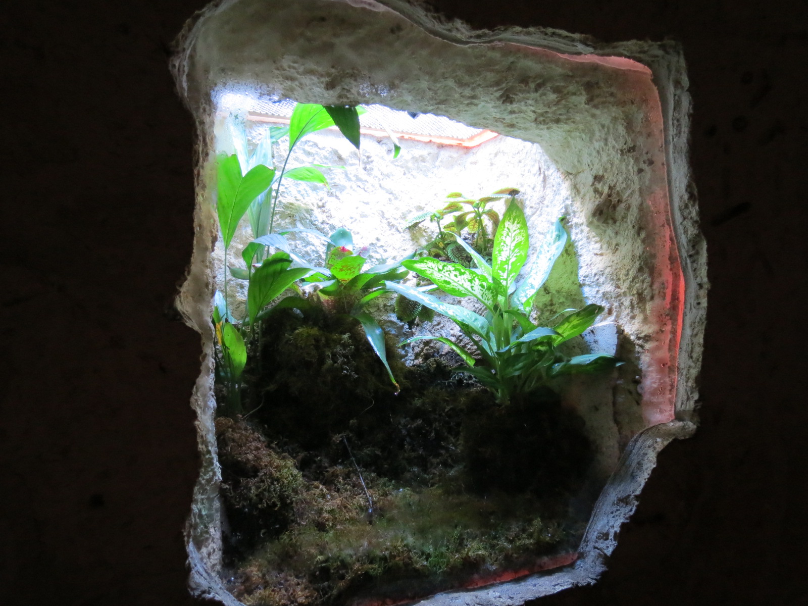 Mundo Maya - Unsigned Exhibit