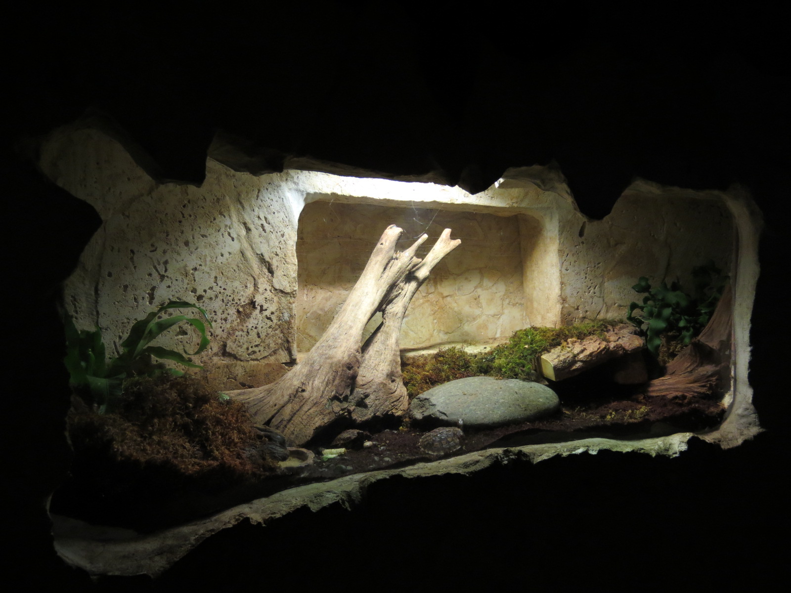 Mundo Maya - Unsigned Exhibit