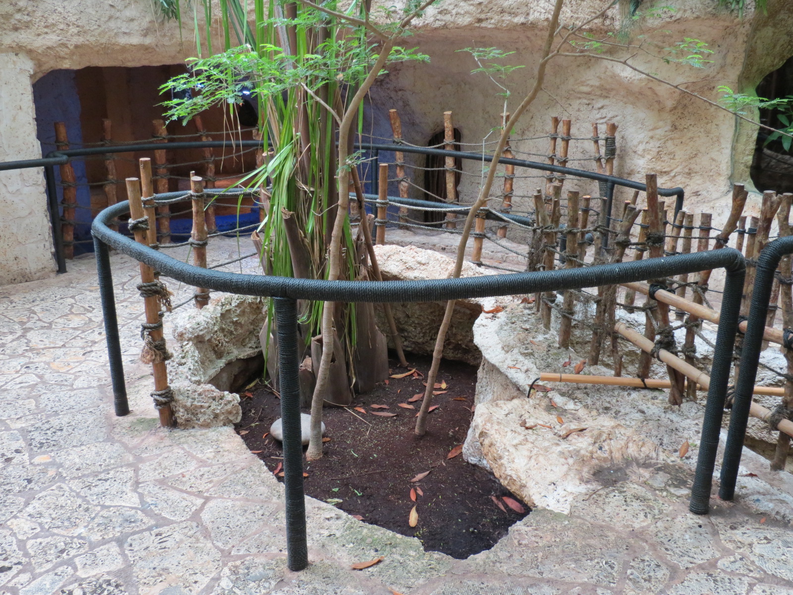 Mundo Maya - Unsigned Tortoise Exhibit