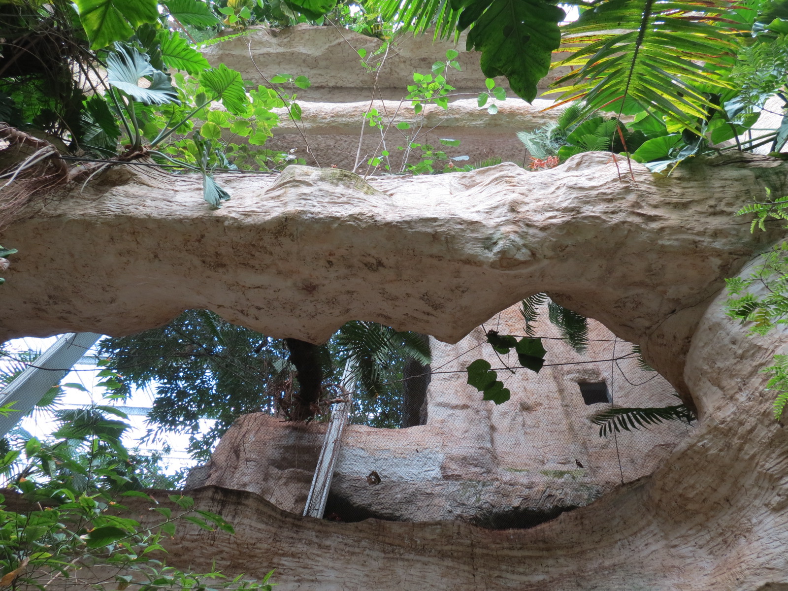 Mundo Maya - Upper Level View