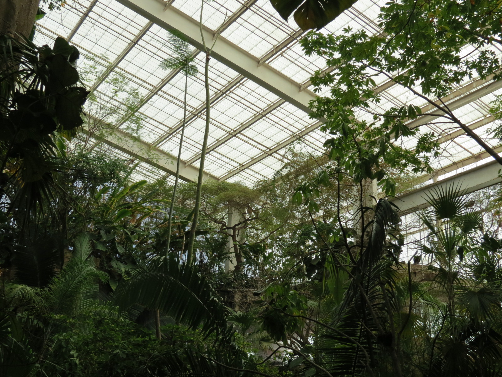 Mundo Maya - Upper Level View