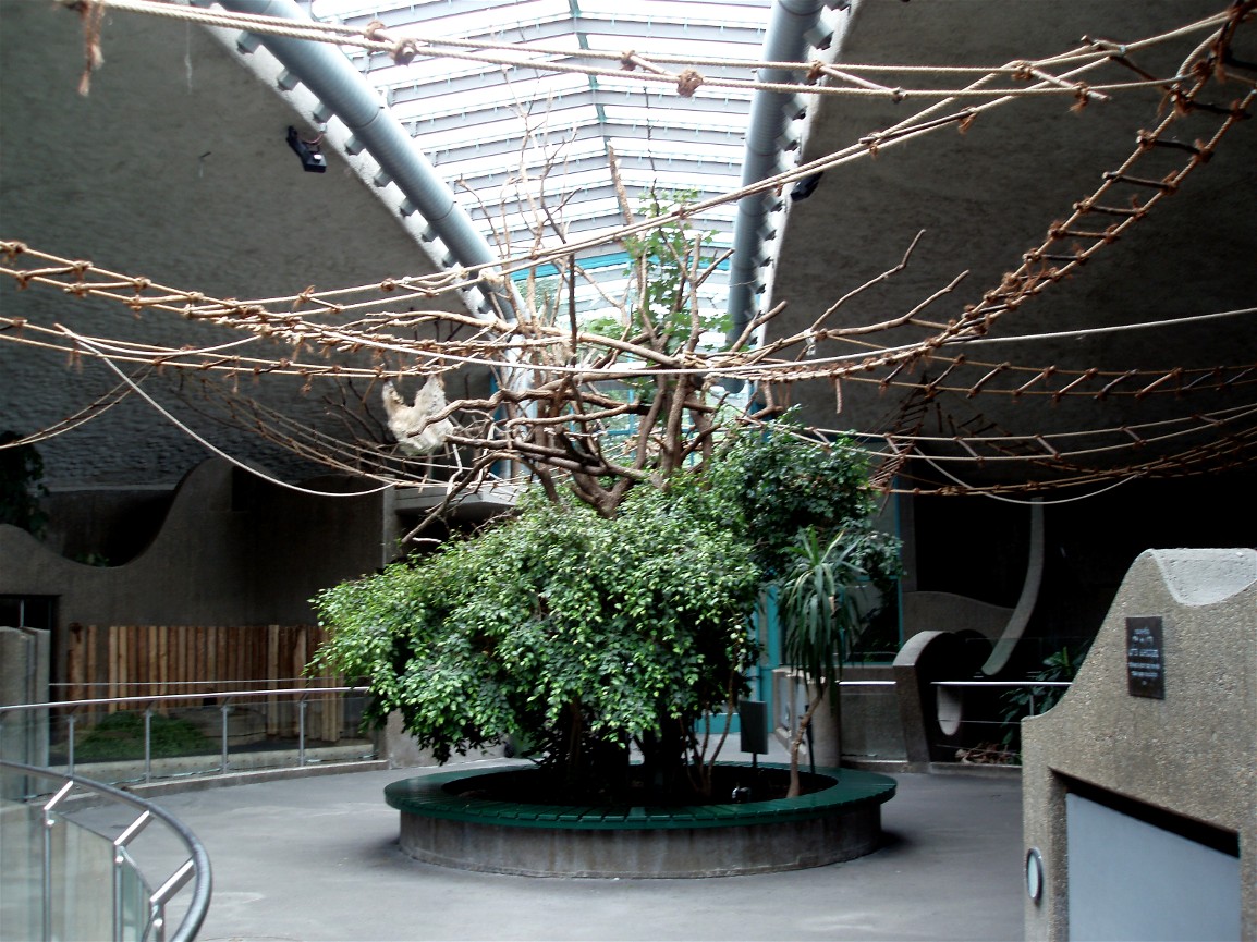 Munich Zoo - Asian House