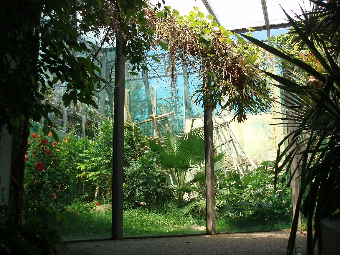 Munich Zoo - Chimpanzee exhibit