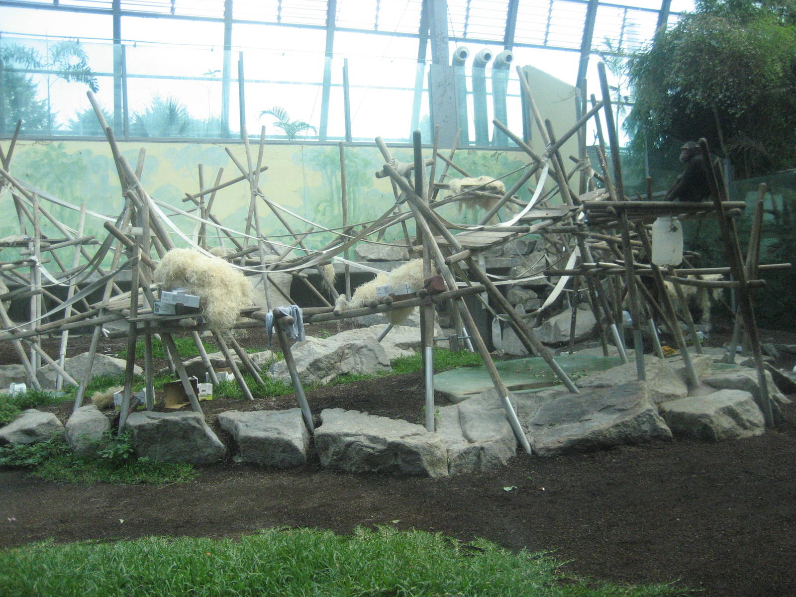 Munich Zoo - Chimpanzee indoor exhibit