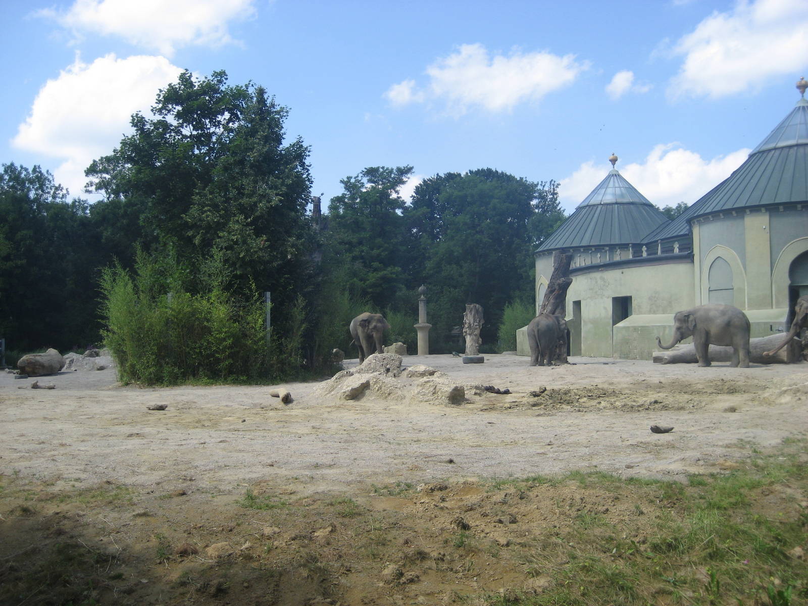 Munich Zoo - Elephant exhibit
