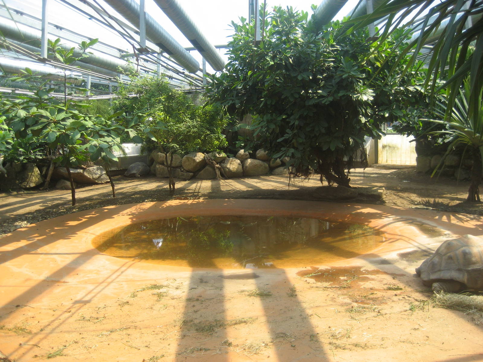 Munich Zoo - Giant tortoise house