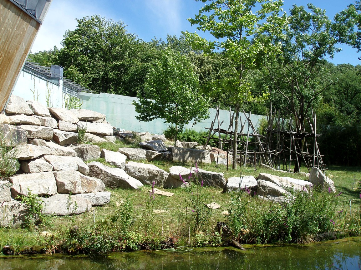 Munich Zoo - Gorilla exhibit