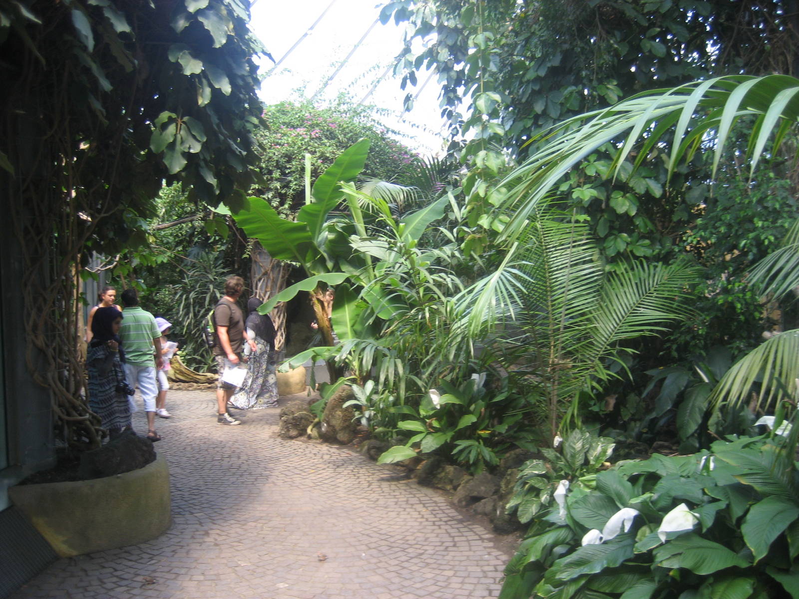Munich Zoo - Jungle tent