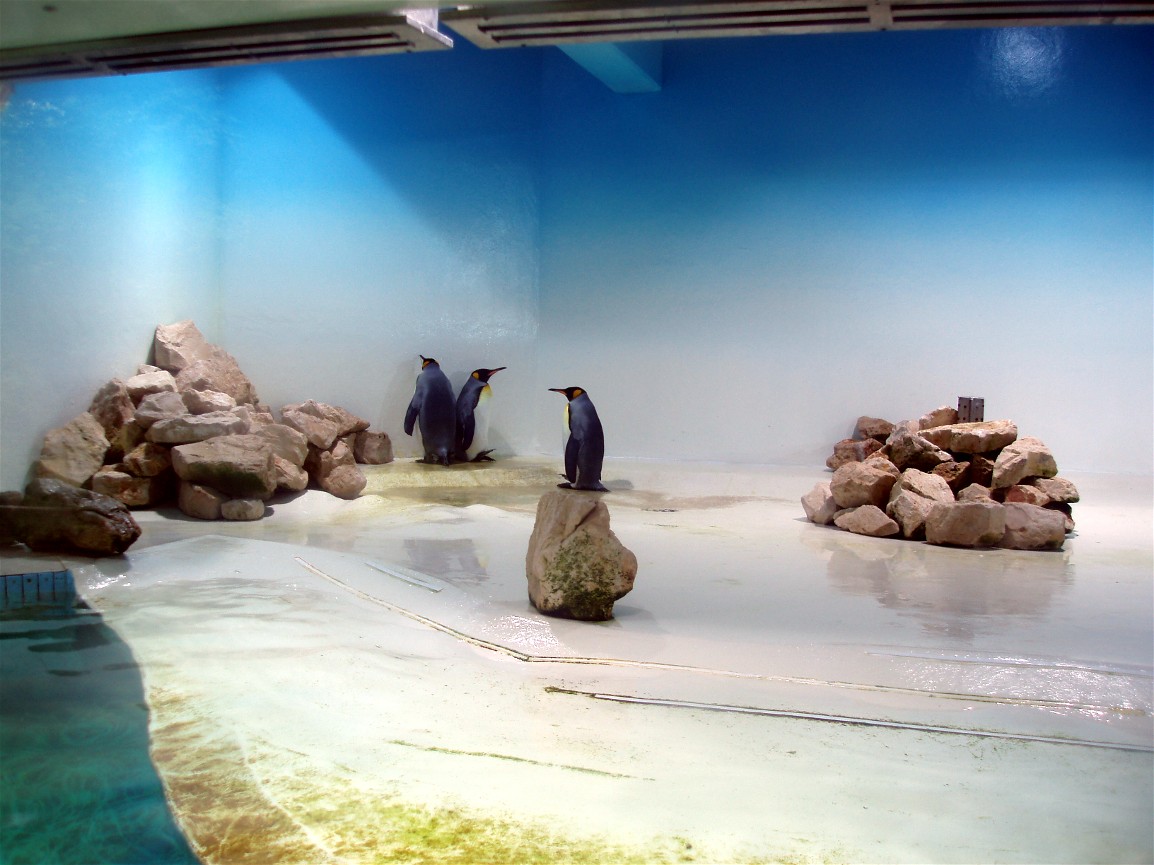 Munich Zoo - Penguin exhibit