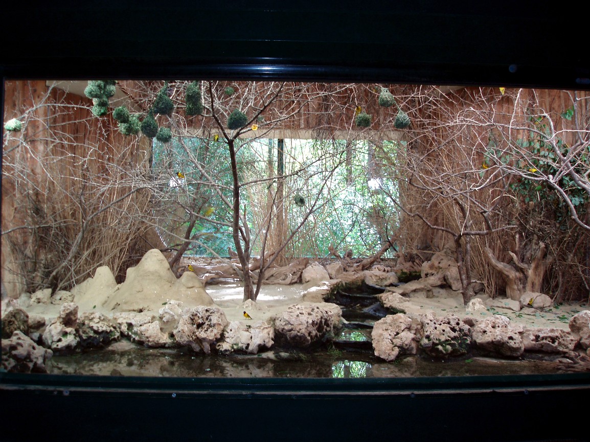 Munich Zoo - Savannah exhibit