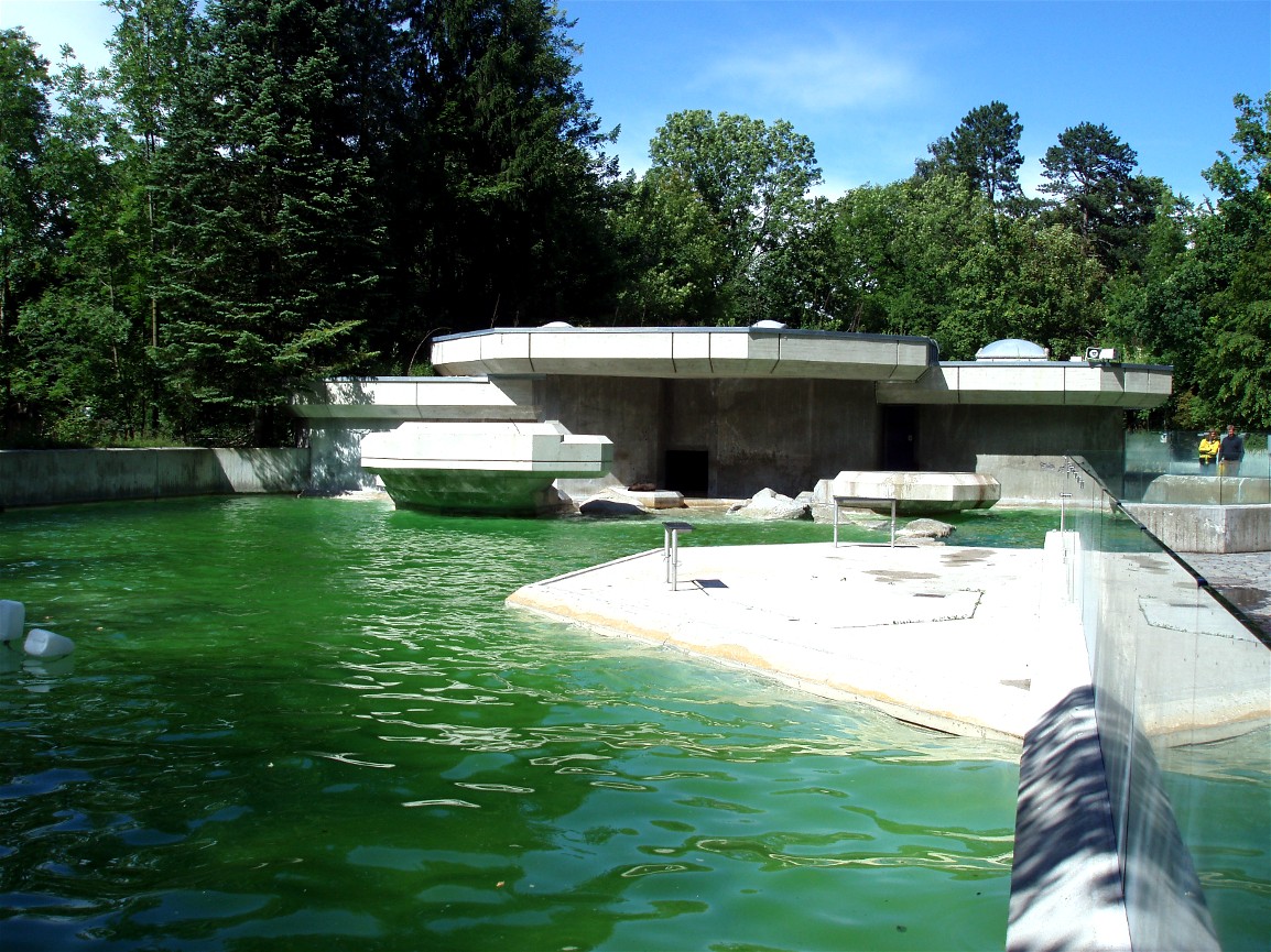 Munich Zoo - Sea lion exhibit