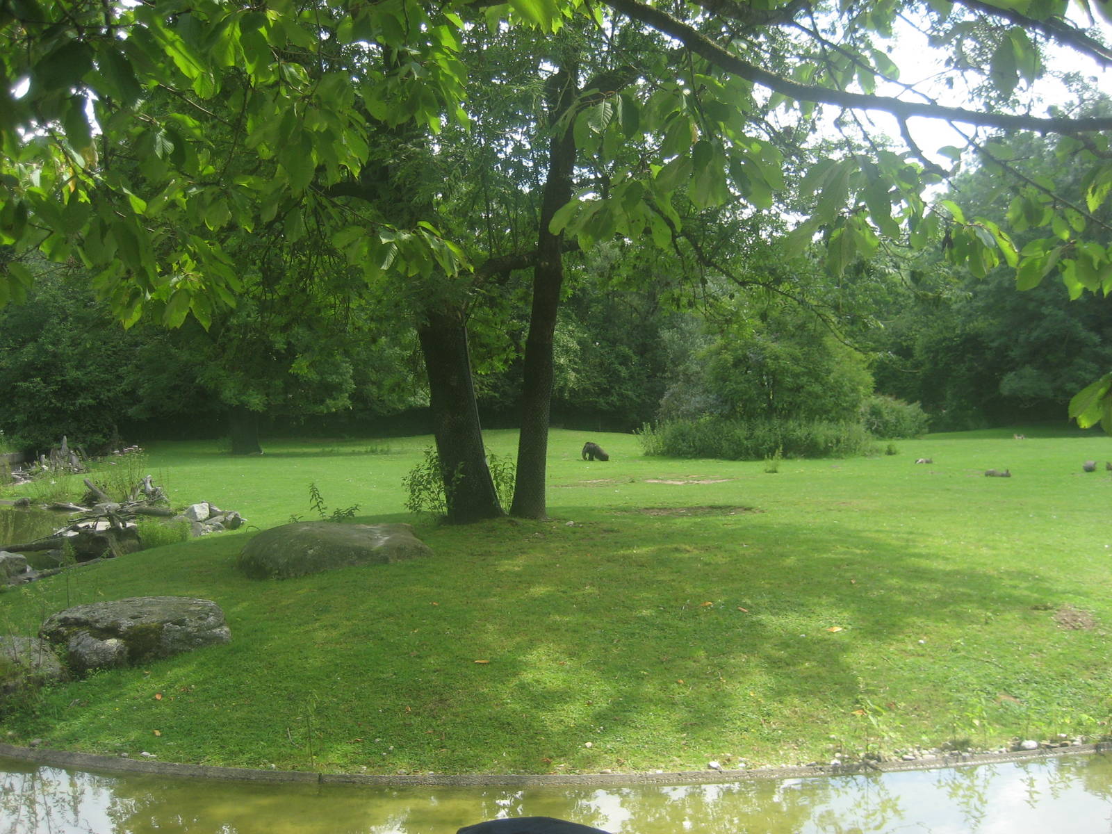 Munich Zoo - South America