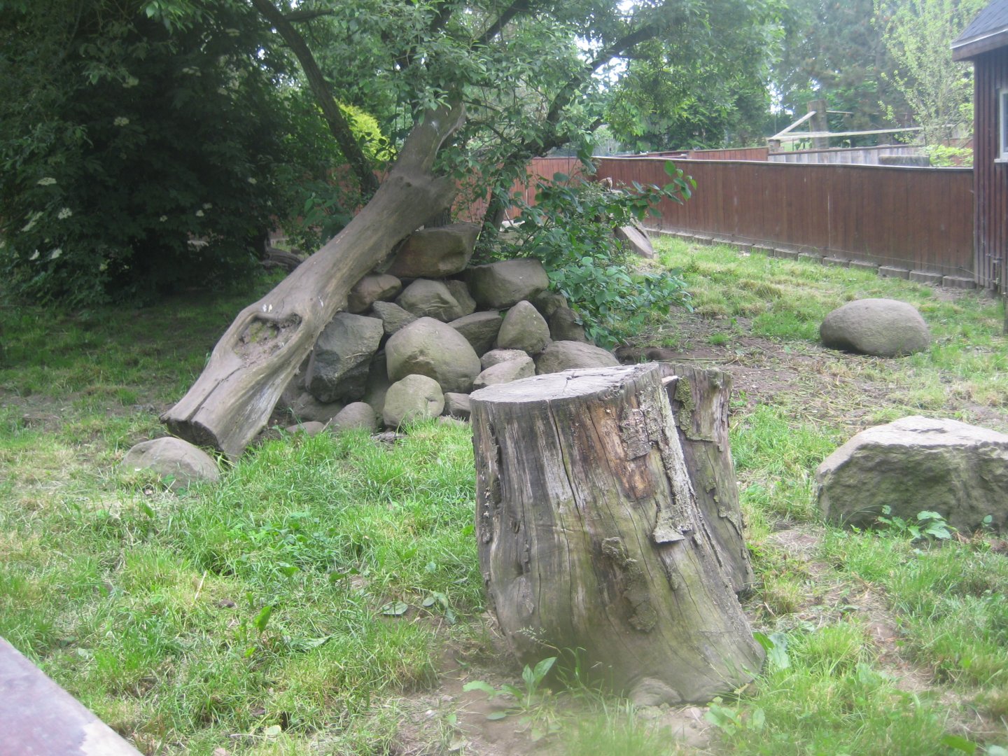Munkholm Zoo - Banded mongoose exhibit