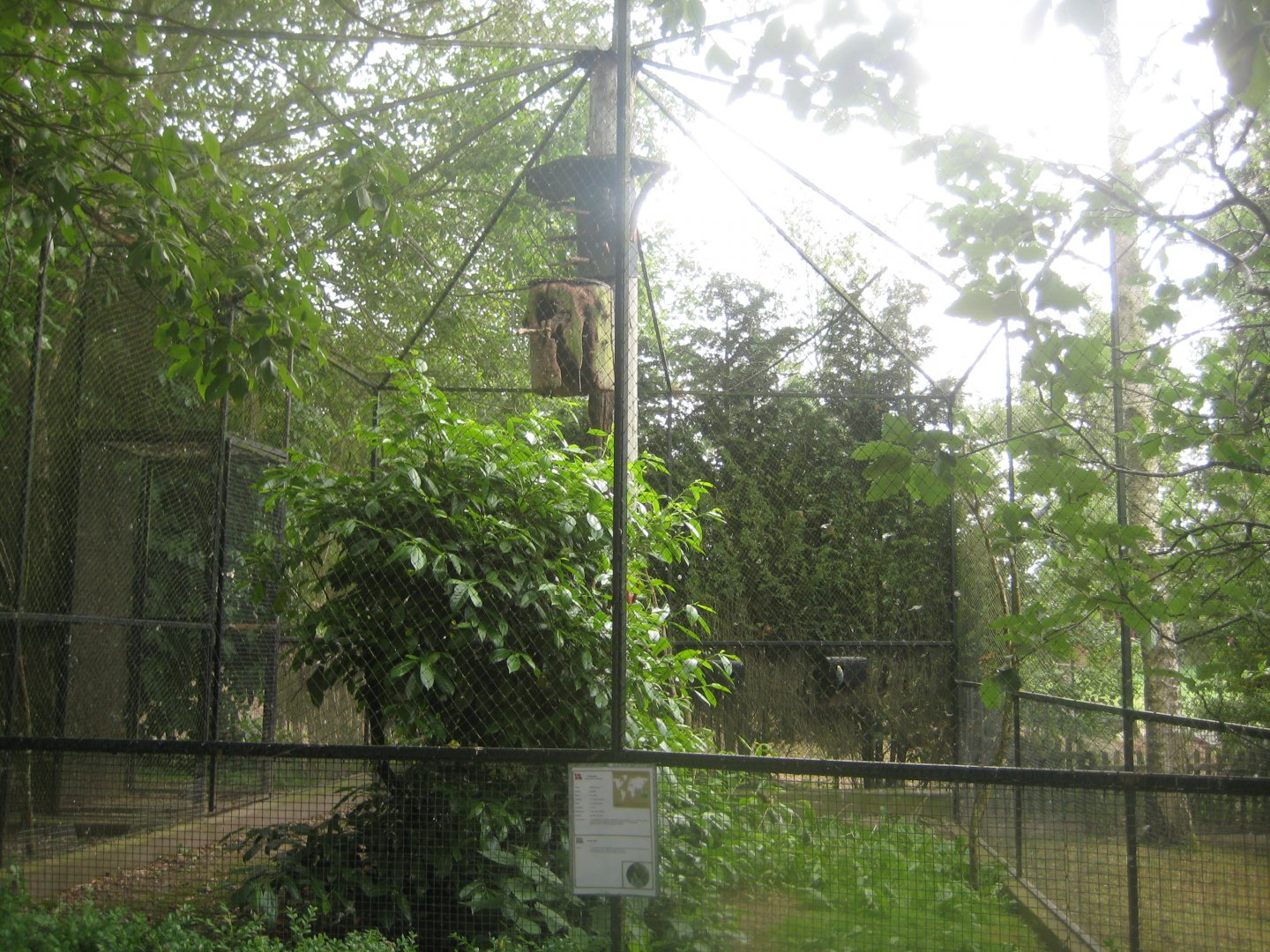 Munkholm Zoo - Budgerigar aviary