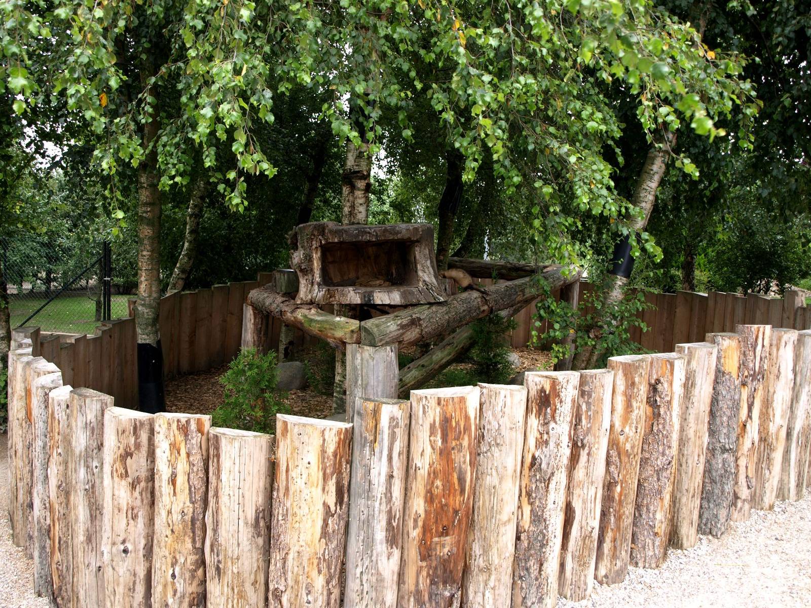 Munkholm Zoo - Ferret exhibit