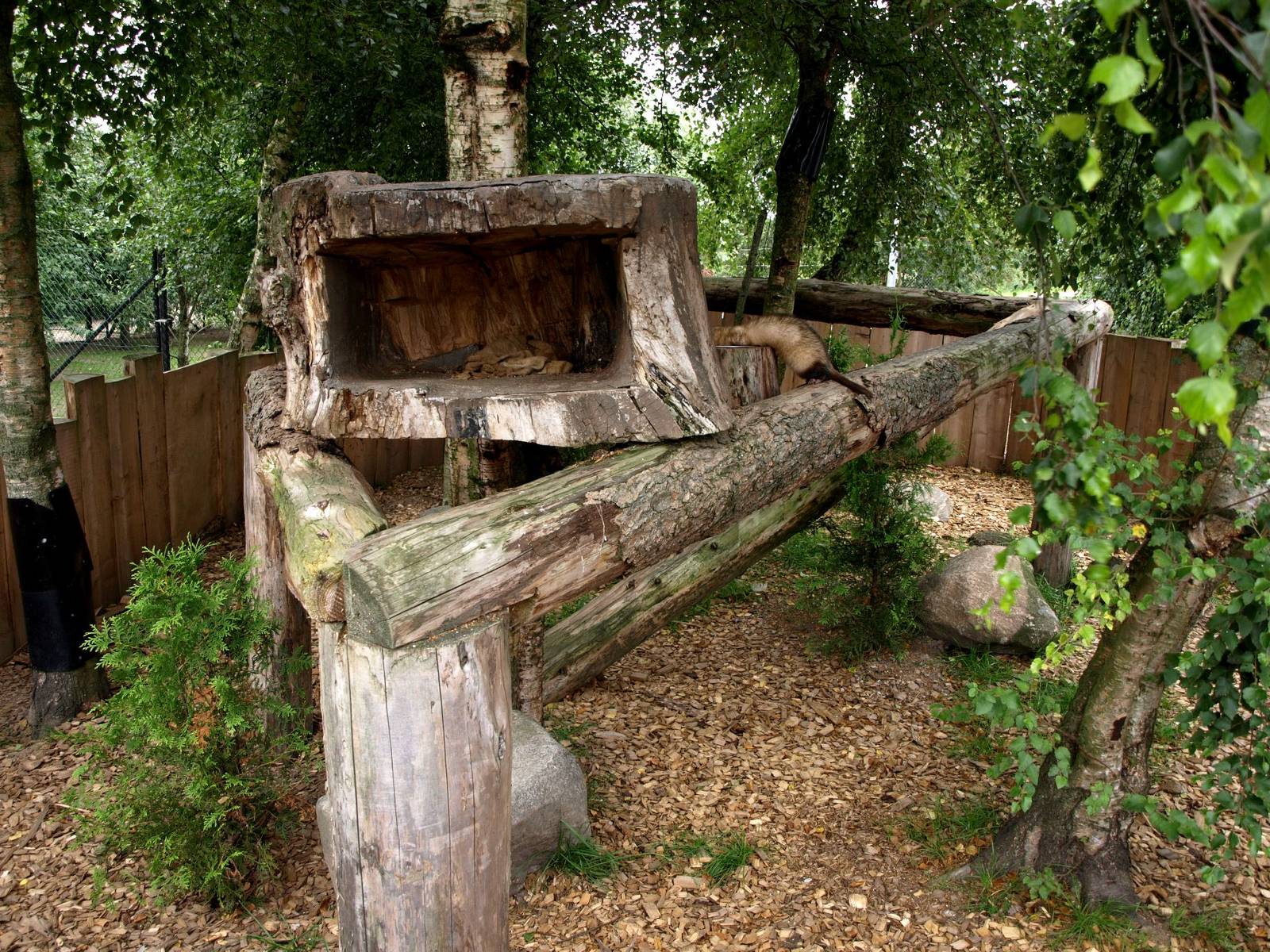 Munkholm Zoo - Ferret exhibit