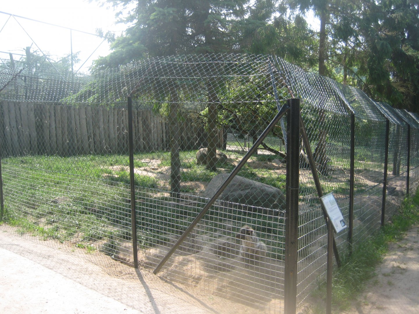 Munkholm Zoo - Fox exhibit