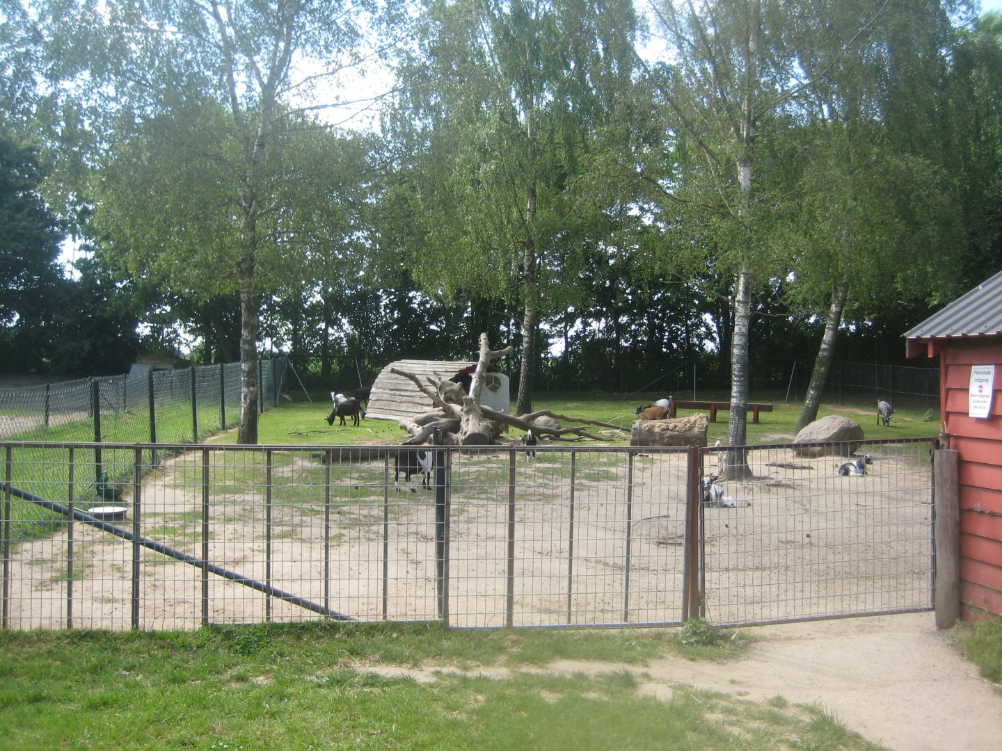 Munkholm Zoo - Goat exhibit