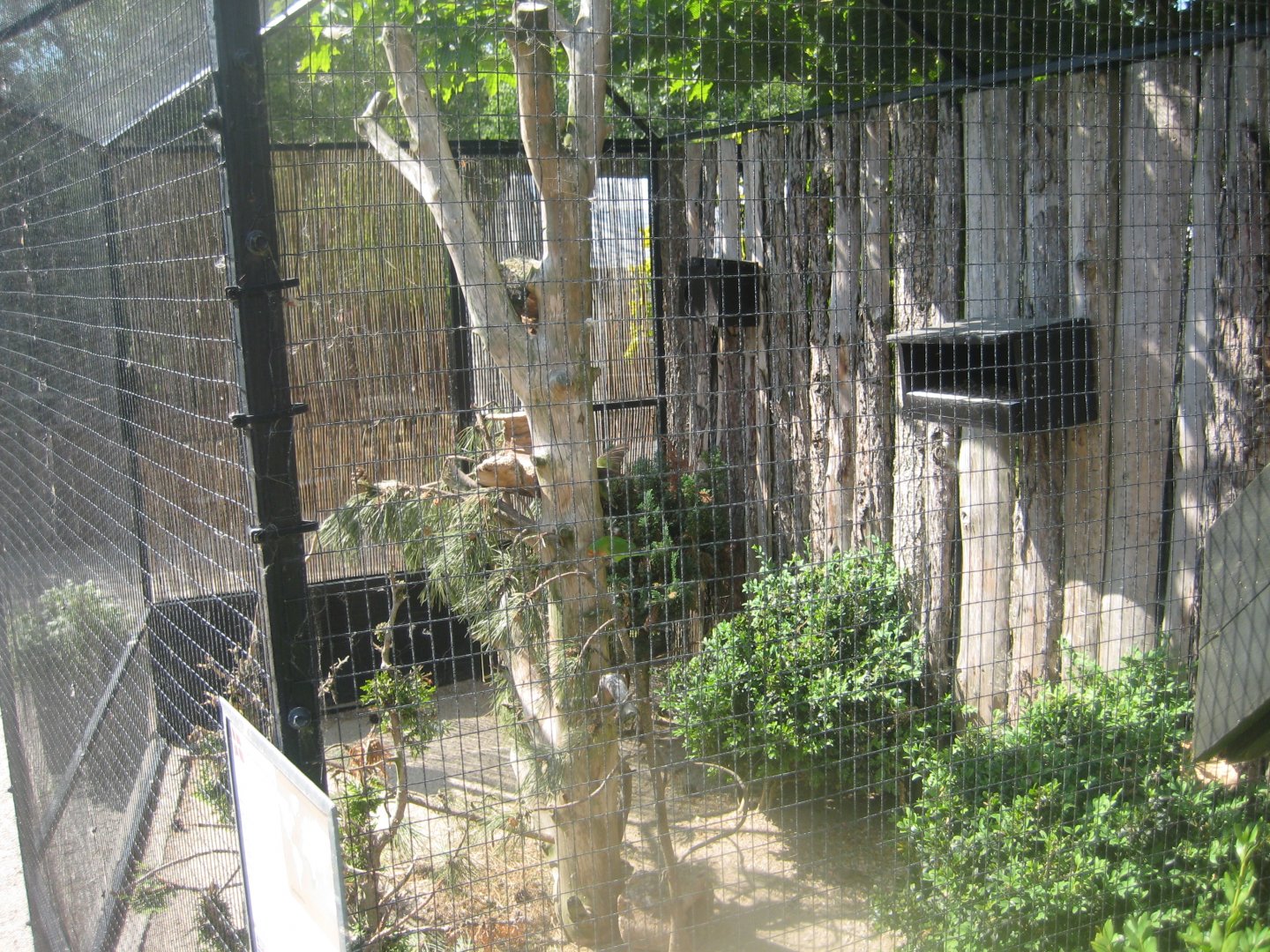 Munkholm Zoo - Lovebird aviary