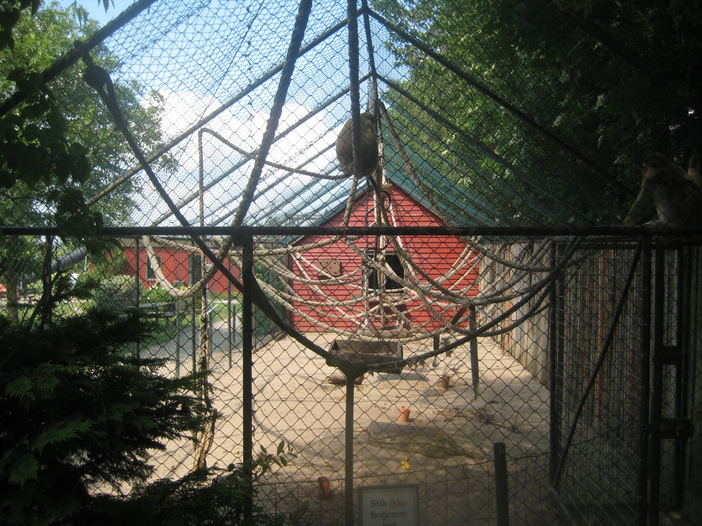 Munkholm Zoo - Macaque exhibit (outdoors)