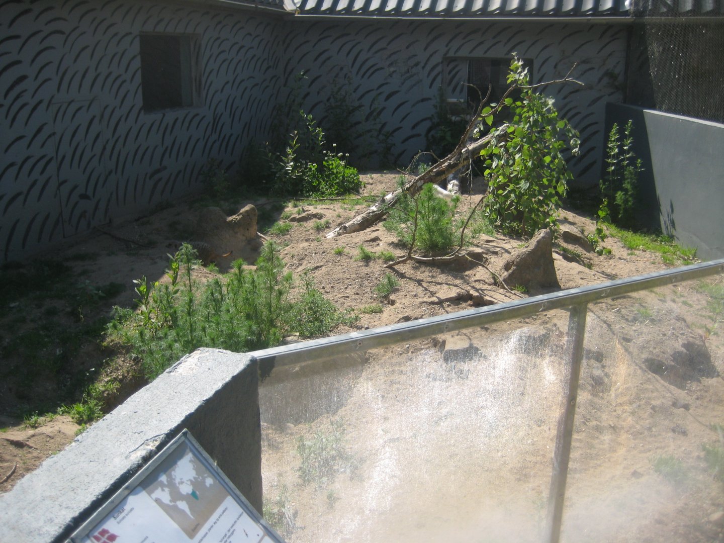 Munkholm Zoo - Meerkat exhibit