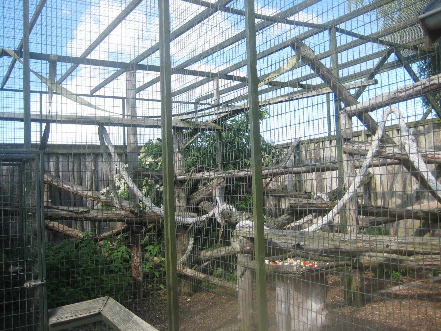 Munkholm Zoo - Patas monkey exhibit (outdoors)