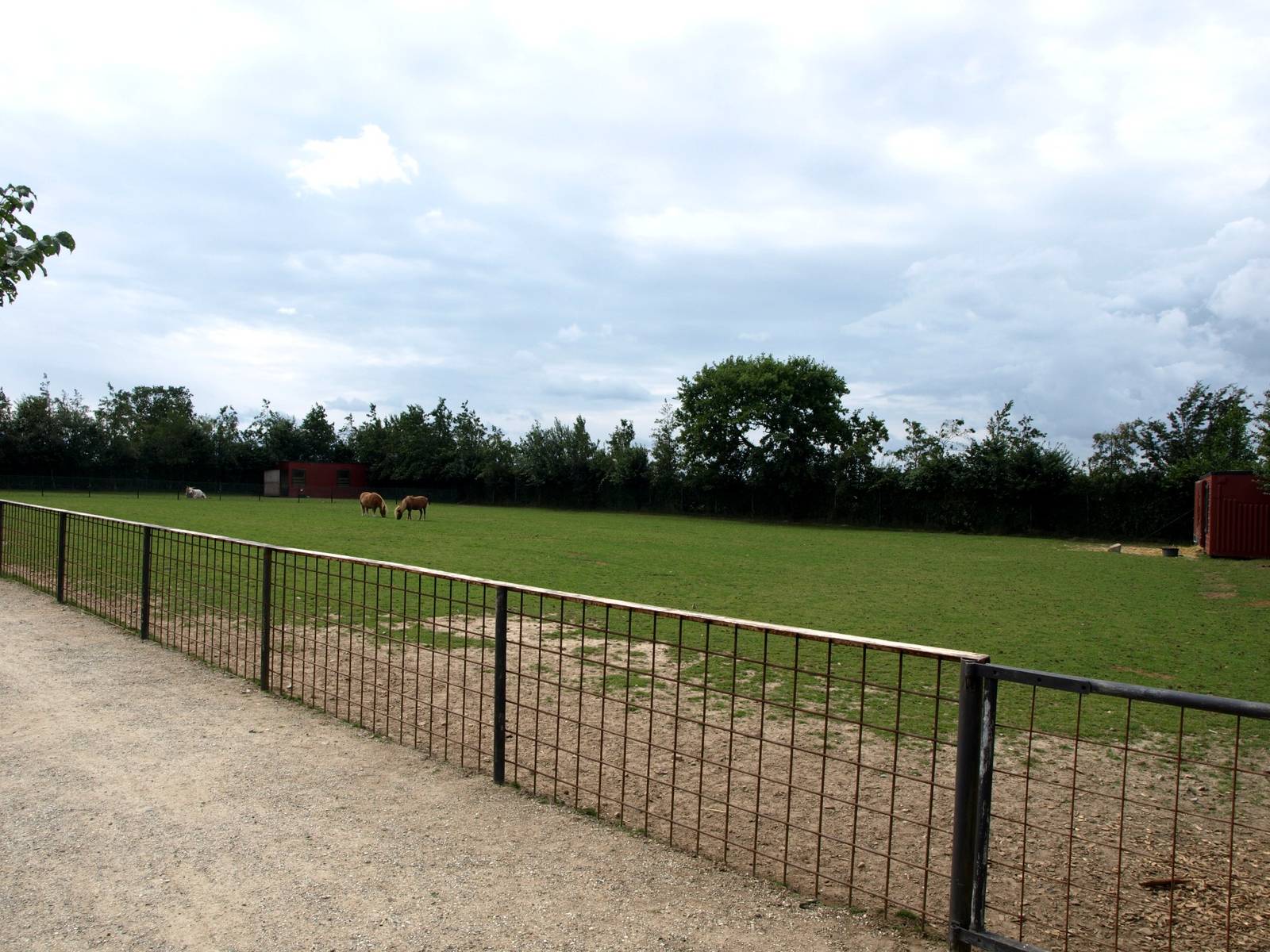 Munkholm Zoo - Pony paddock