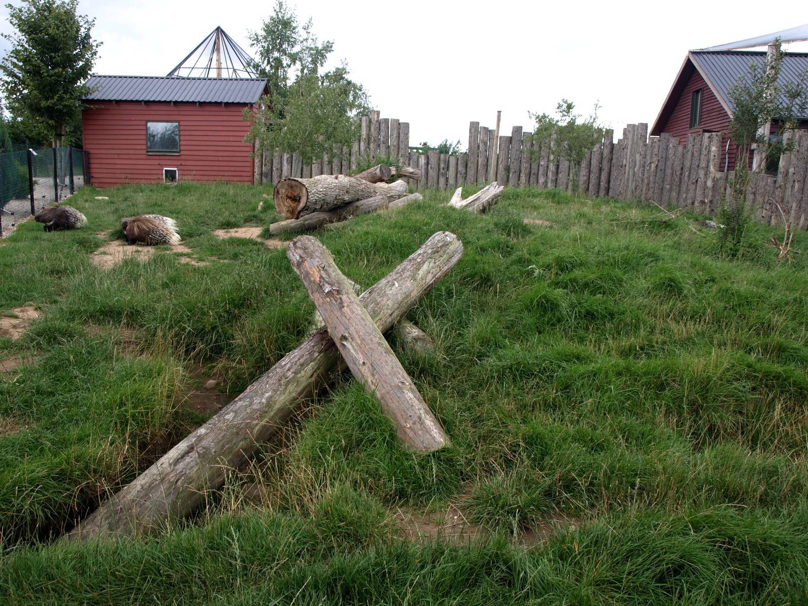 Munkholm Zoo - Porcupine exhibit