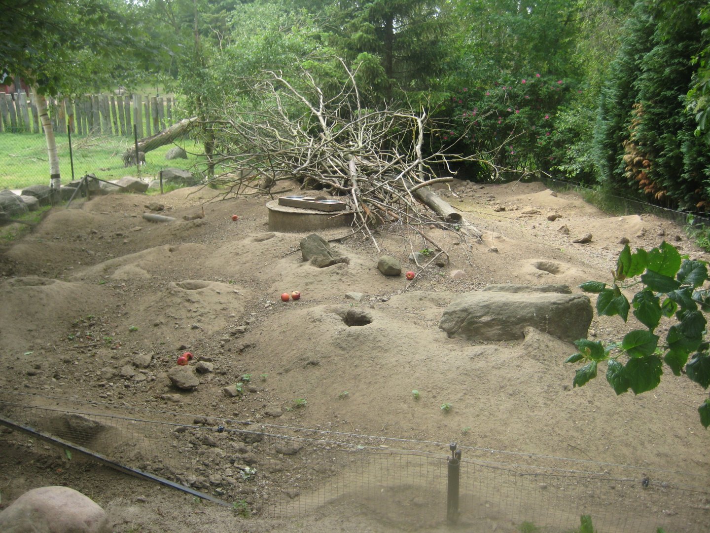 Munkholm Zoo - Prairie dog exhibit