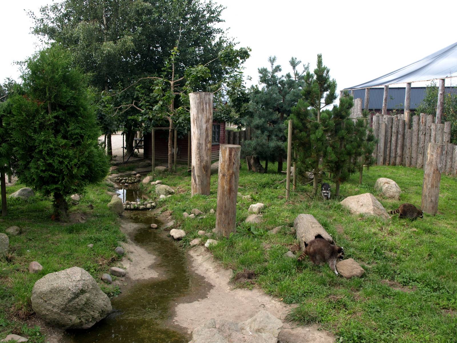 Munkholm Zoo - Raccoon exhibit