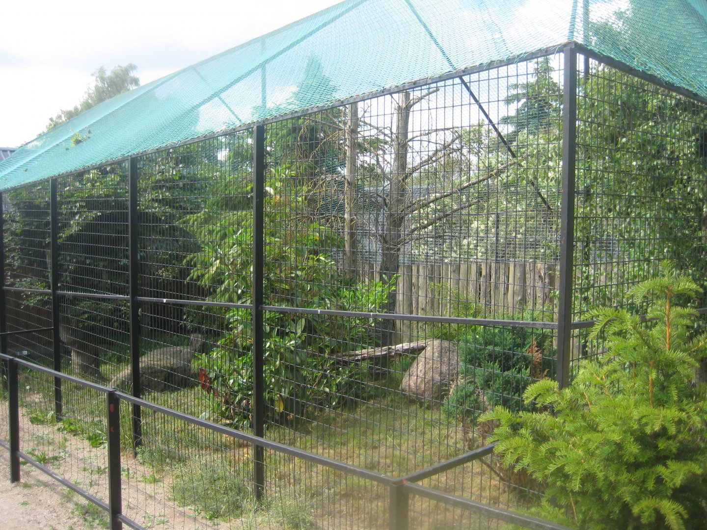 Munkholm Zoo - Serval exhibit #1