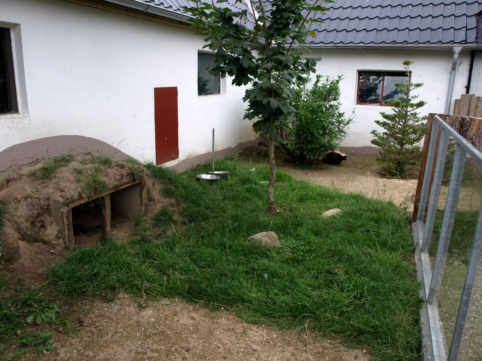 Munkholm Zoo - Skunk exhibit